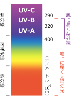 UVの図