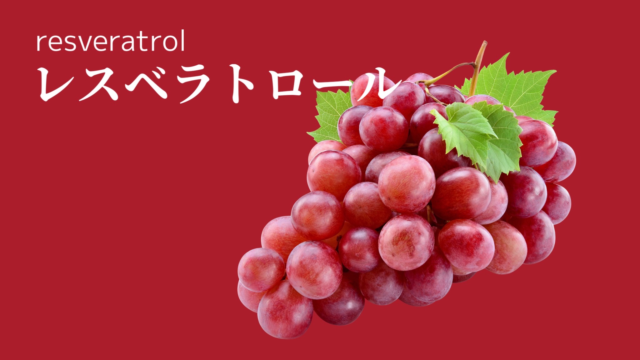 レスベラトロール｜健康食品・サプリメント・化粧品のOEM｜ドクターズチョイス公式サイト